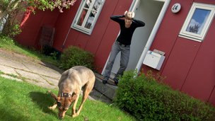 nabos hund i din have