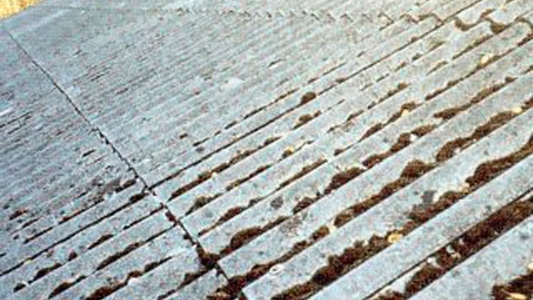 Må du bruge regnvand fra tage med asbest?