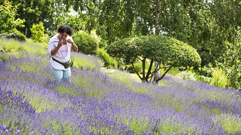 Esther Geneser i Esthers Have, der er fyldt med lavendel