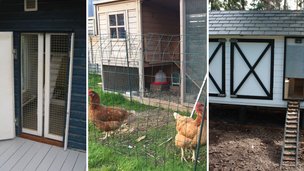 Hønsehus i haven – alt, hvad du skal vide