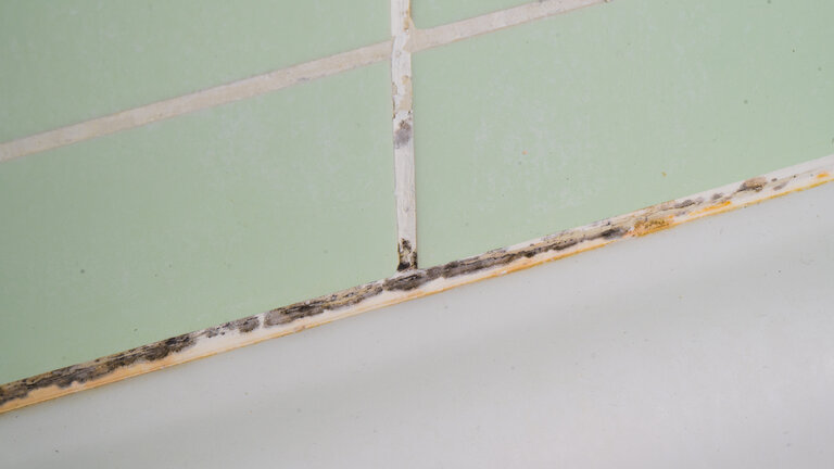 beskidt blød fuge på badeværelse med skimmelsvamp