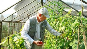 Sådan forlænger du sæsonen i dit drivhus og holder det frostfrit