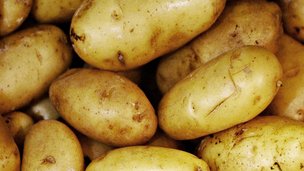 Sådan dyrker du dine egne kartofler