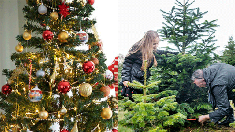 Almindeligt juletræ og plastik juletræ pyntes med julepynt