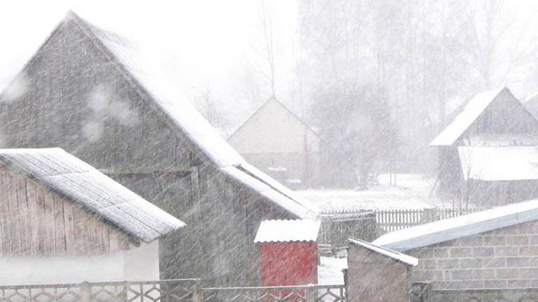 Fygesne på loftet - sådan undgår du det
