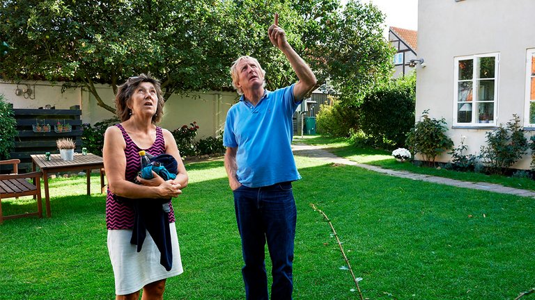 Må naboen kigge ind i dit hus?