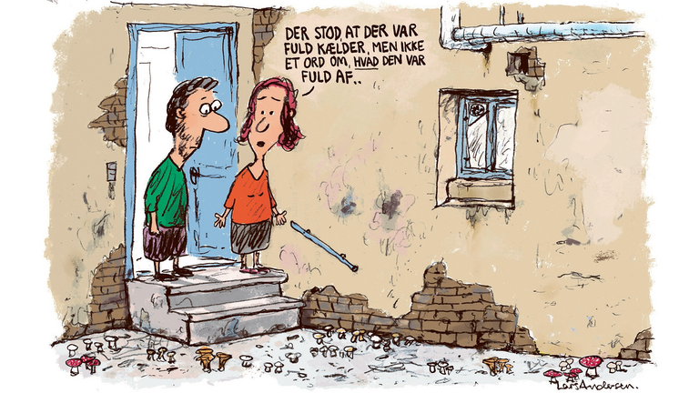 Tilstandsrapporter volder boligkøbere problemer