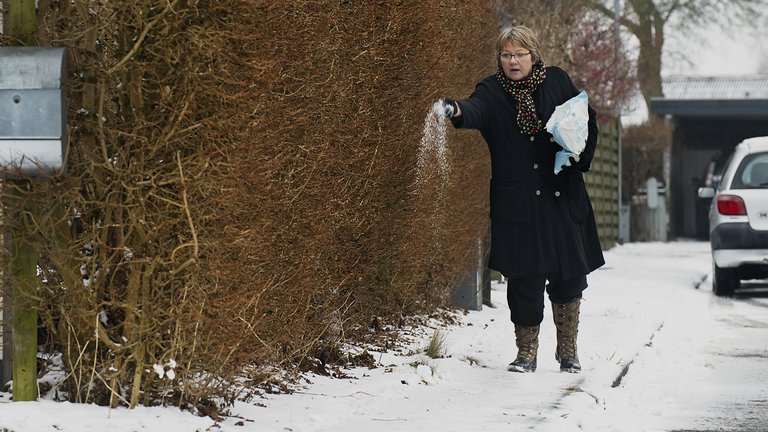 Drop salt på glat fortov