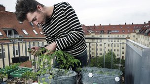 Dyrk altanen som en køkkenhave