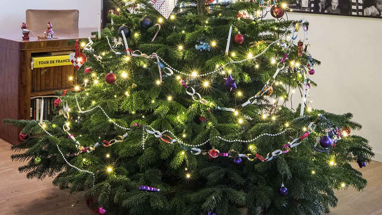 Julelys, elpriser og emhætter 2024