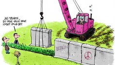 Bygge nyt hegn eller hæk i skel?