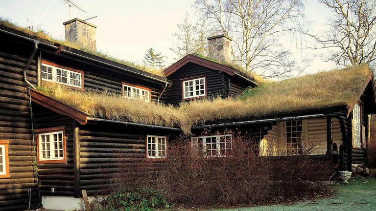 Græs som tagbelægning