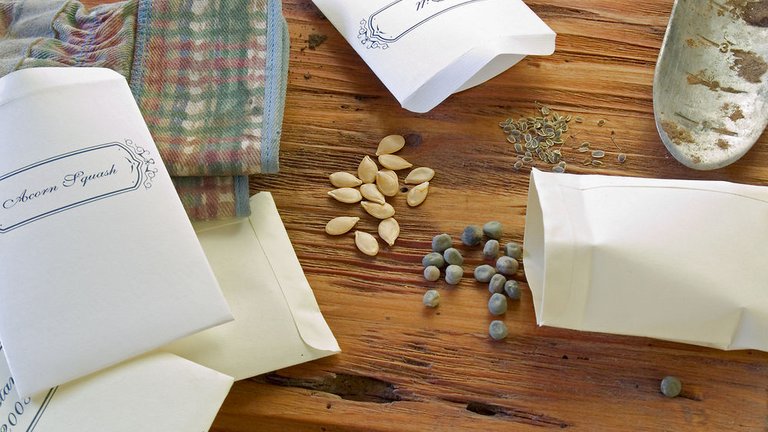 Må du bytte frø til haven med andre?