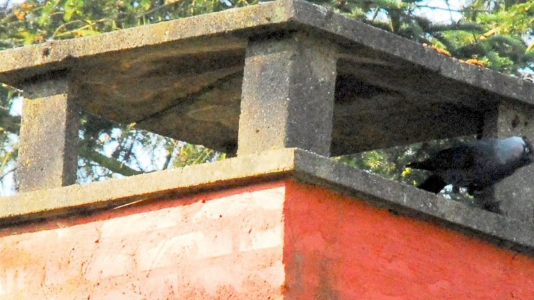 Nedlæggelse af skorsten