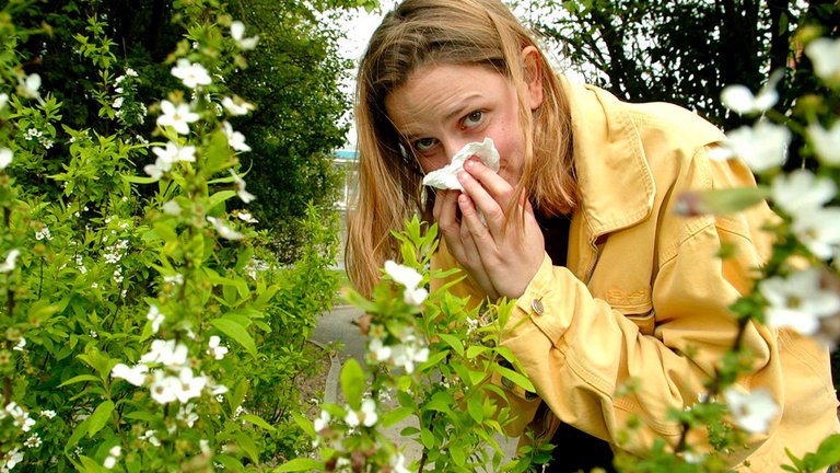 7 råd mod pollenallergi, når du går i haven
