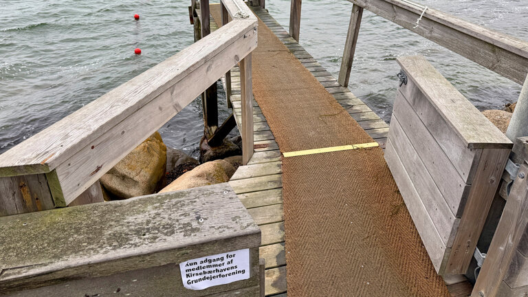 Privat badebro med skilt, hvor der kun er adgang til grundejerforenings medlemmer