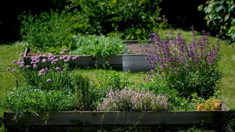 Højbedet: Plant i den rigtige jord