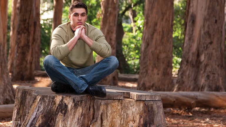 Hvordan fjerner du nemmest en træstub?