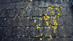 Tagrensning og maling af fibercementtage