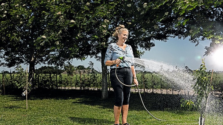 Bruger regnvand til havevanding