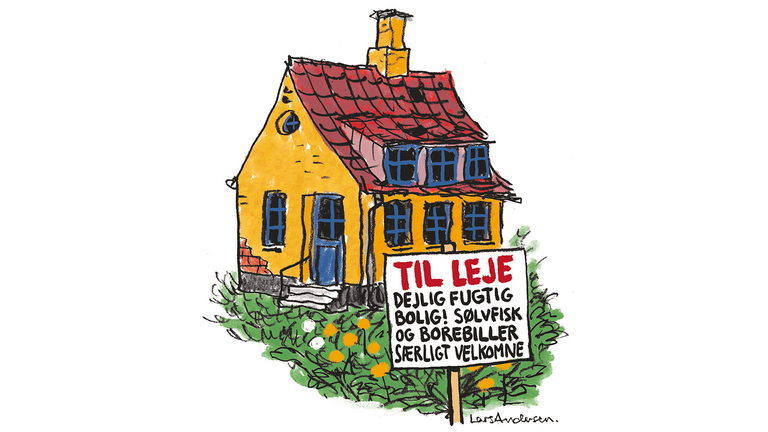 Dette afslører dyrene om din bolig: Se, hvad 6 forskellige dyr fortæller
