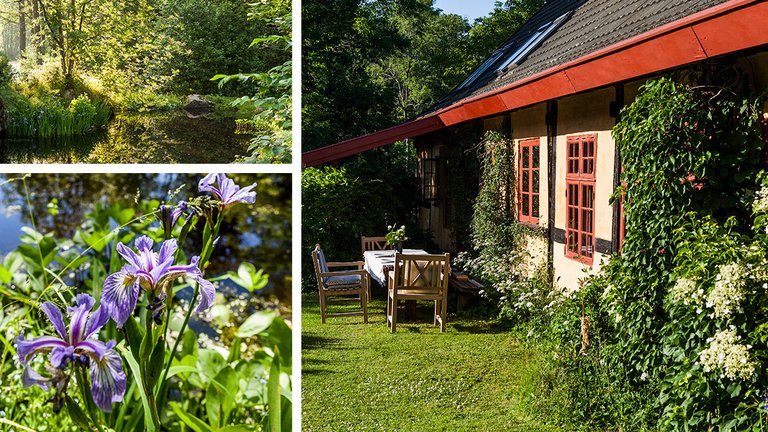 Bornholmsk have med søer og bier