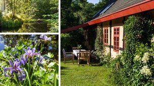 Bornholmsk have med søer og bier