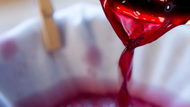 Opskrift: Lav din egen hyldebærsaft