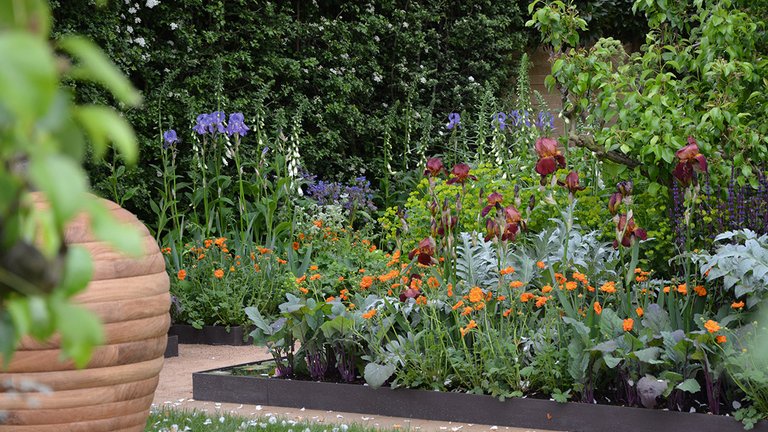 Sådan blander du grøntsager og blomster i dit bed