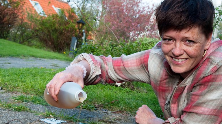 Eddike som ukrudtsmiddel - er det en god idé?