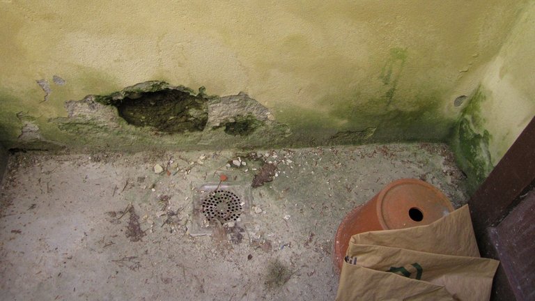 Fugtige kældervægge