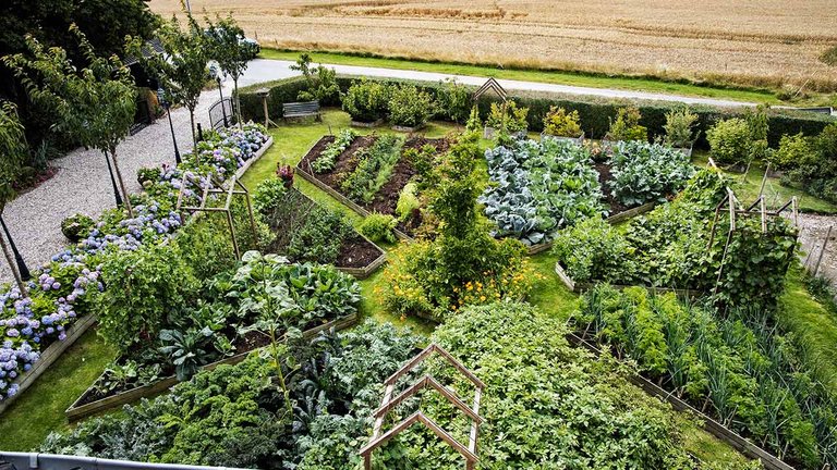 Kreativ planlægning af køkkenhave