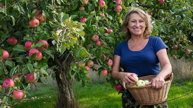 Birgittes mangfoldige æblehave