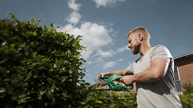 Quiz: Har du styr på hækken?