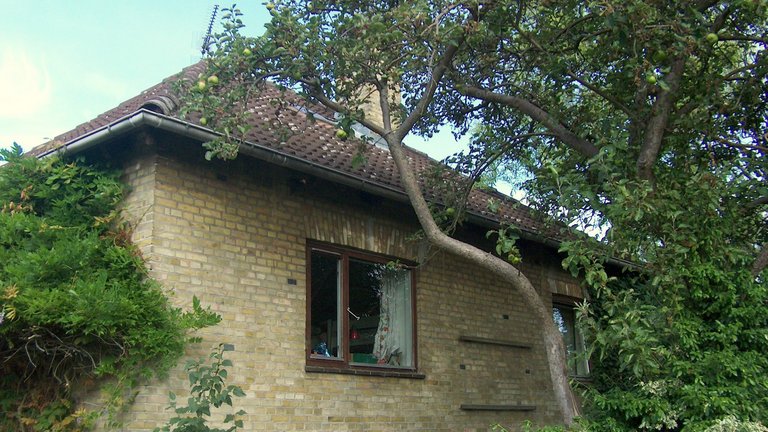Vedligeholdelse af bungalowen