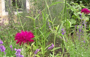 bed med blomster og krydderurter i mange farver