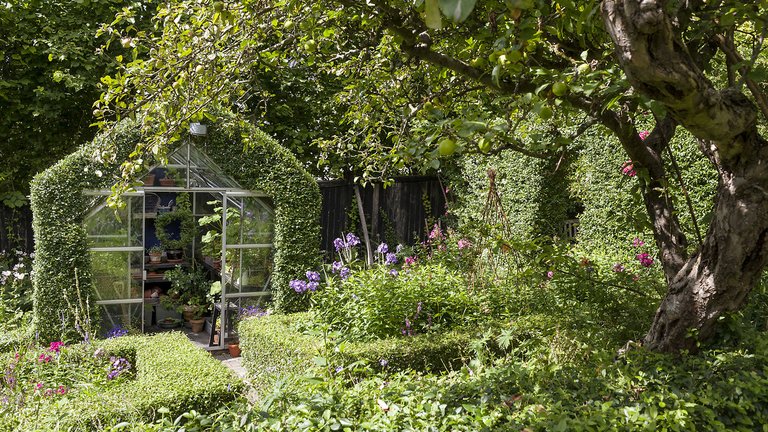 drivhus med ligusterhæk