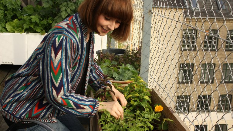 Dyrk grøntsager på altanen