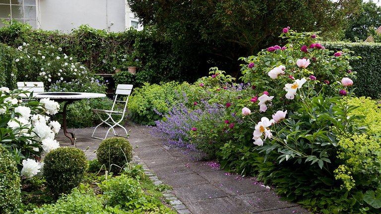 Have med flisesti, terrasse og blomstrende buske