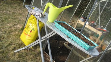 Guide: Rengøring af drivhus