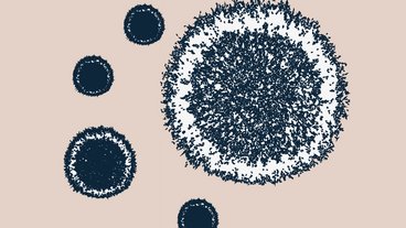 Alt du skal vide om skimmelsvamp