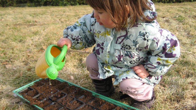5 sunde grøntsager til køkkenhaven