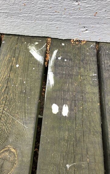 malerpletter på terrasse