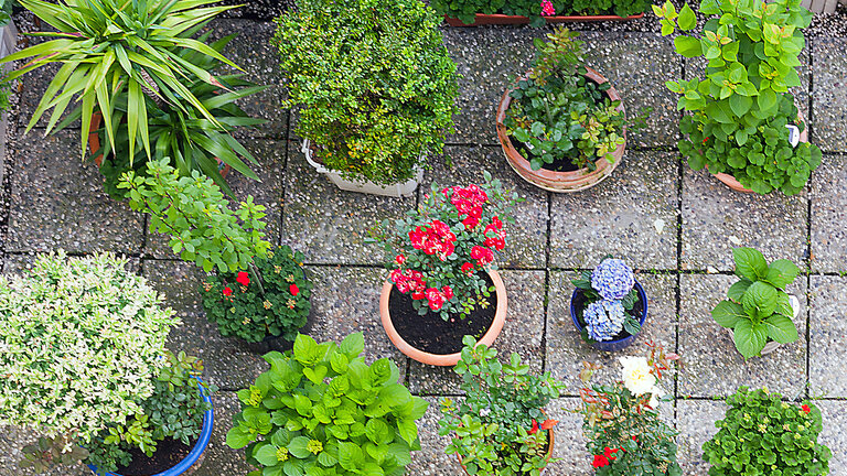 Krukker er en nem og fleksibel vej til at få have