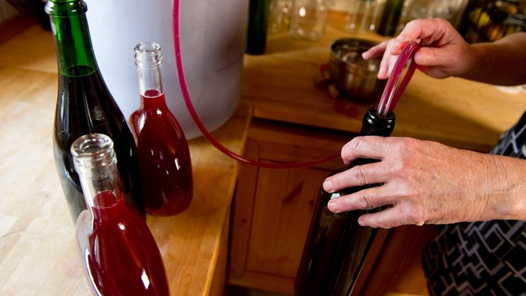 Opskrift: Lav din egen kirsebærvin