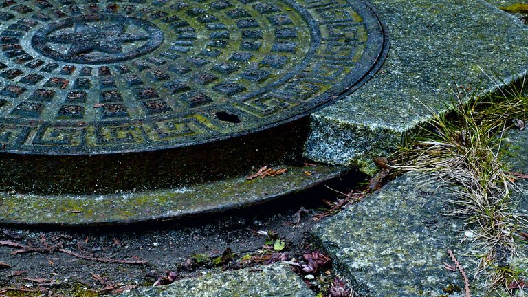 Vedligehold husets brønde og undgå vandskader