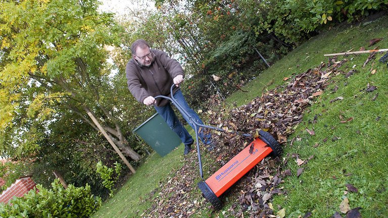 Sådan får du en allergivenlig have
