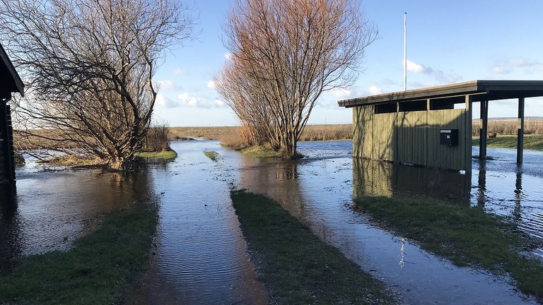 Grund oversvømmet af vand fra stormflod eller skybrud