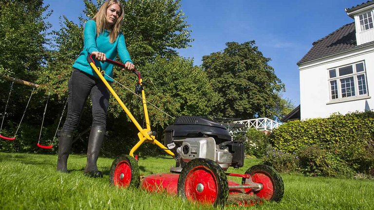 Hvornår skal du slå græs første gang?