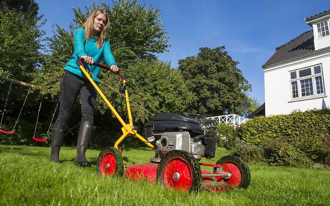 Hvornår skal du slå græs første gang?